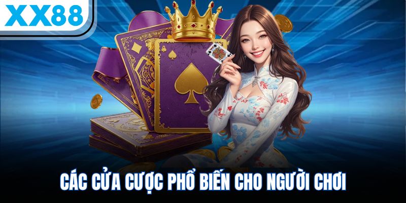 Chiến Thuật Andar Bahar Bất Bại Cho Tất Cả Người Chơi XX88 - SPINQUBE99 Chiến Thuật Andar Bahar Bất Bại Cho Tất Cả Người Chơi XX88 - SPINQUBE99
