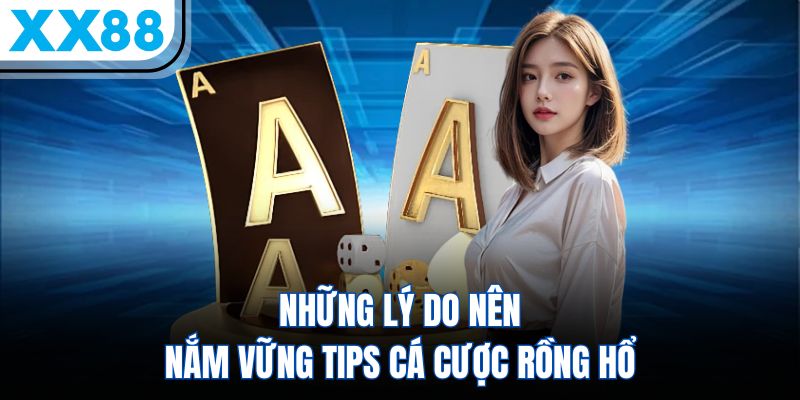 Mẹo Chơi Rồng Hổ Giúp Hội Viên Tăng 80% Cơ Hội Chiến Thắng - SPINQUBE99 Mẹo Chơi Rồng Hổ Giúp Hội Viên Tăng 80% Cơ Hội Chiến Thắng - SPINQUBE99