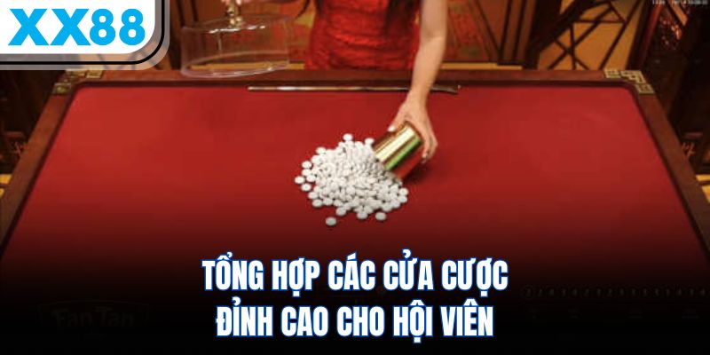 Fantan XX88 - Cập Nhật Luật Chơi Và 3 Lưu Ý Vàng Từ Cao Thủ - SPINQUBE99